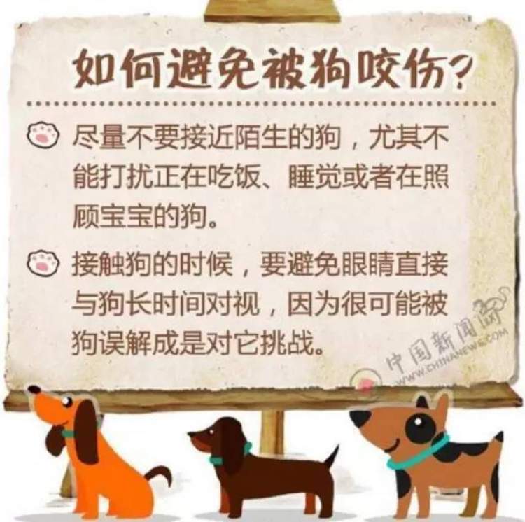 宠物犬轻轻咬伤手背，上海一位38岁的男子病发身亡