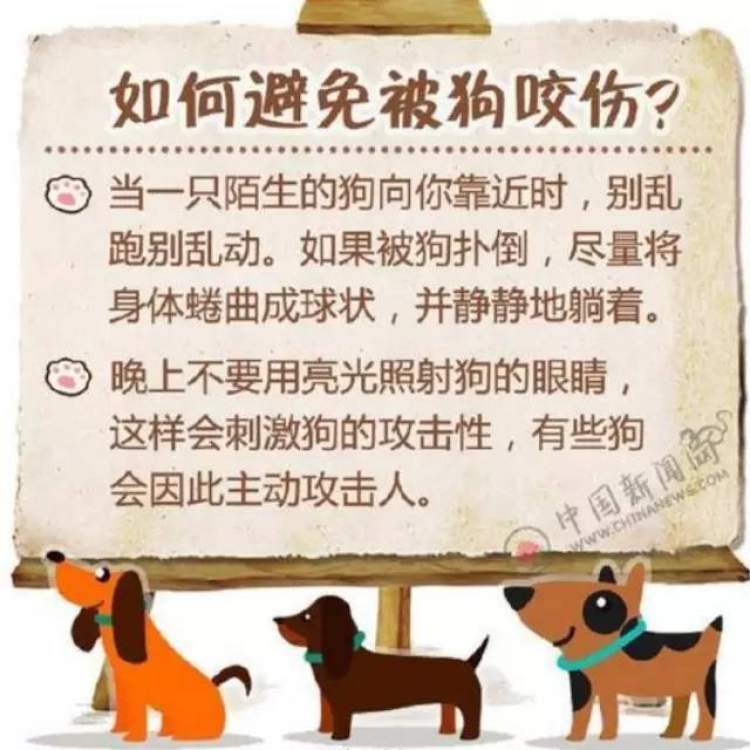 宠物犬轻轻咬伤手背，上海一位38岁的男子病发身亡