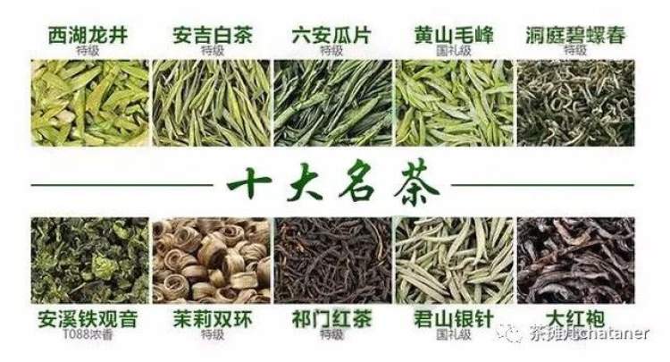 烂大街的"十大名茶",这五个版本你可能都没听过!