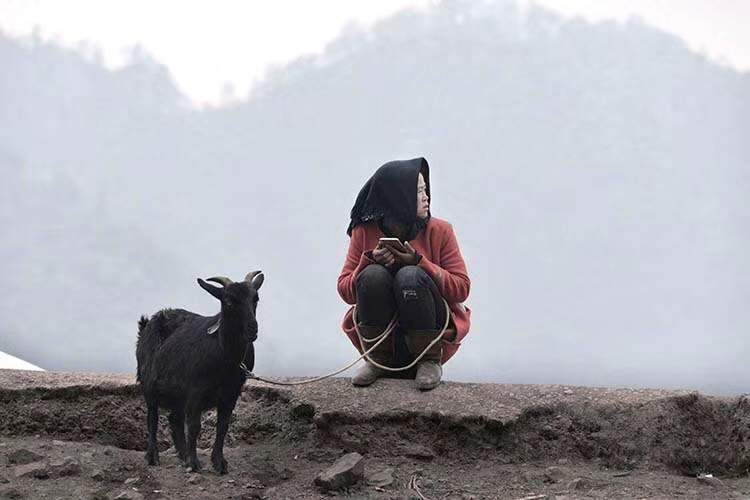 大凉山的女人在路边卖羊