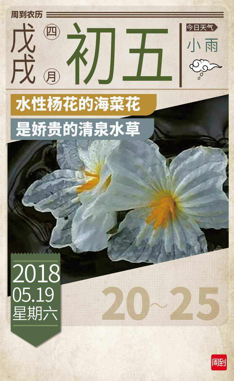 农历中国 | 四月初五 · 海菜花开