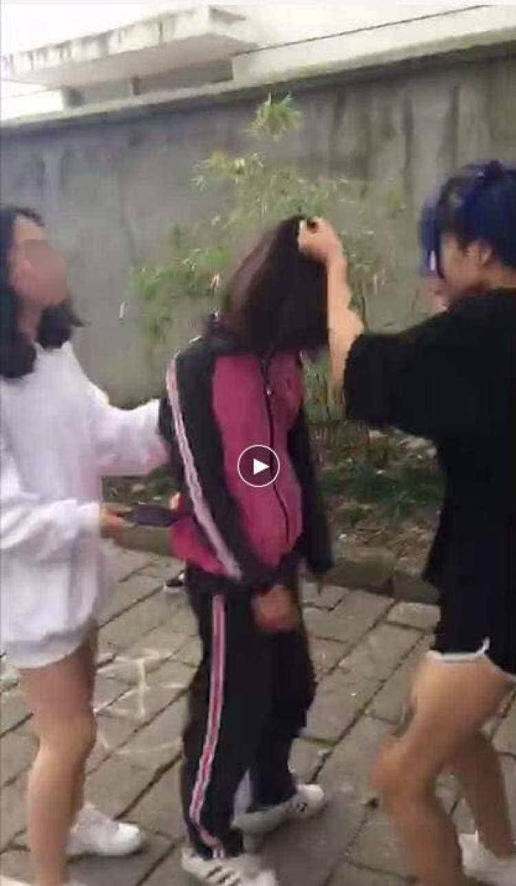 网传上海嘉定现校园暴力，警方已经抓获6名涉案人员- 周到