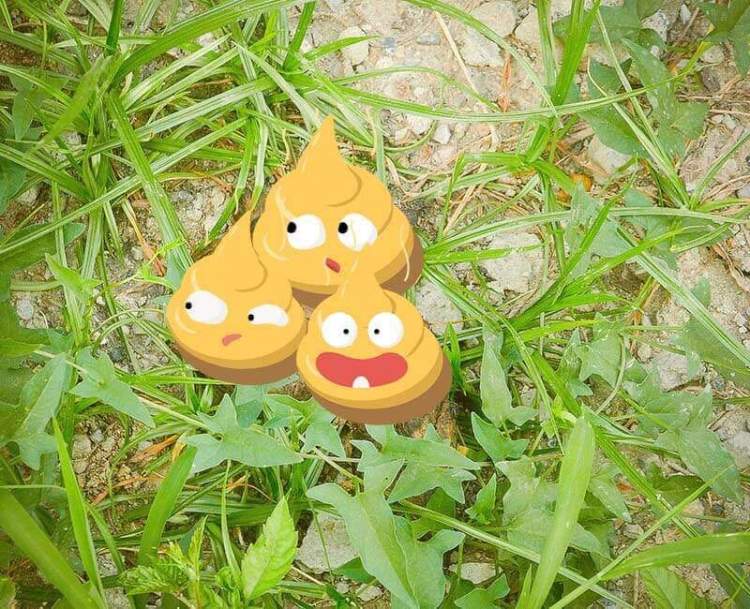 你家附近走狗屎运了吗不妨对照这份全城扫雷地图