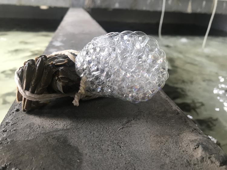 财经 科技 正文  周到君注意到一个细节,蟹老板自出浴便不停地吐泡泡