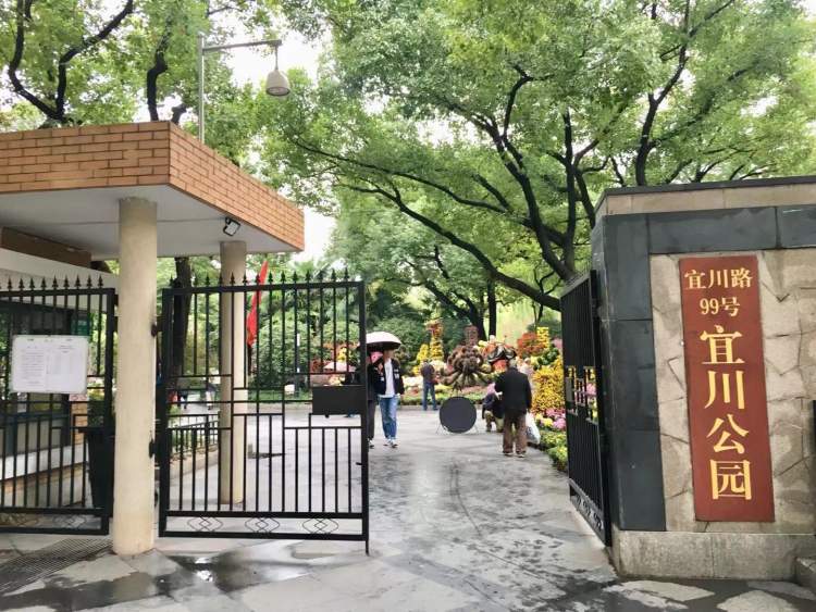 百余种,上万盆菊花,宜川公园这是在"搞事情"啊
