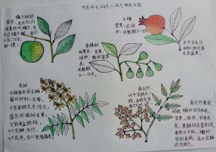 微信图片_20190311154529.jpg