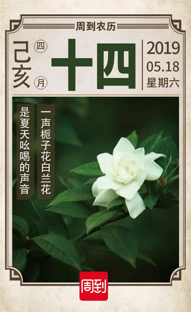 一声栀子花白兰花 是夏天吆喝的声音