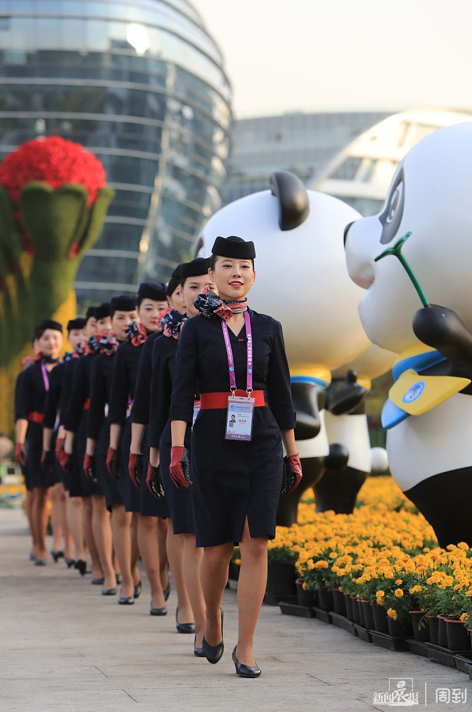 进博,这道靓丽风景线又来了!百余东航空姐将亮相"四叶草"