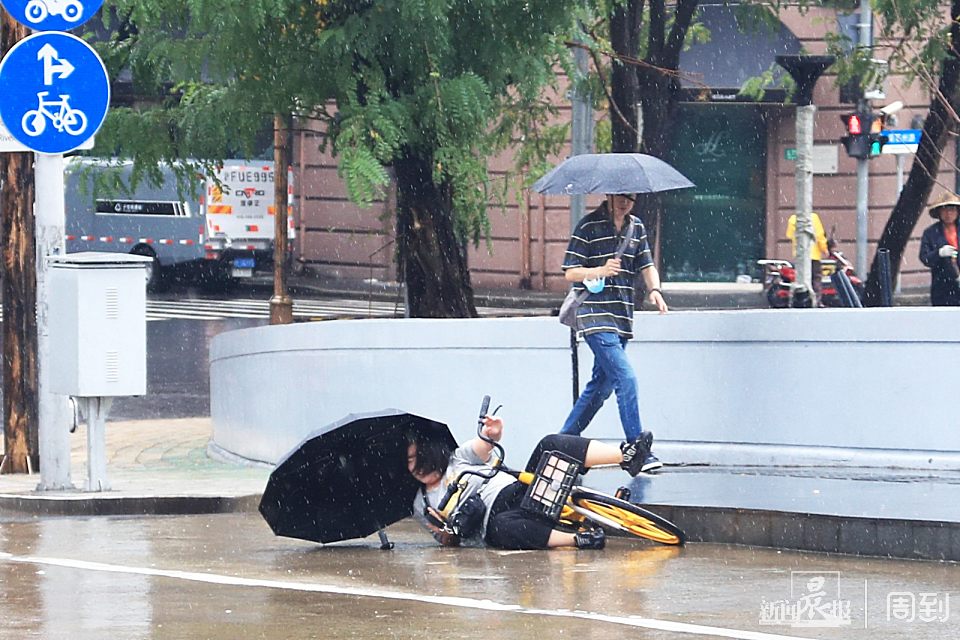 年轻女士雨中撑伞骑车摔倒，切记，撑伞骑车很危险 晨镜头 周到上海 2931