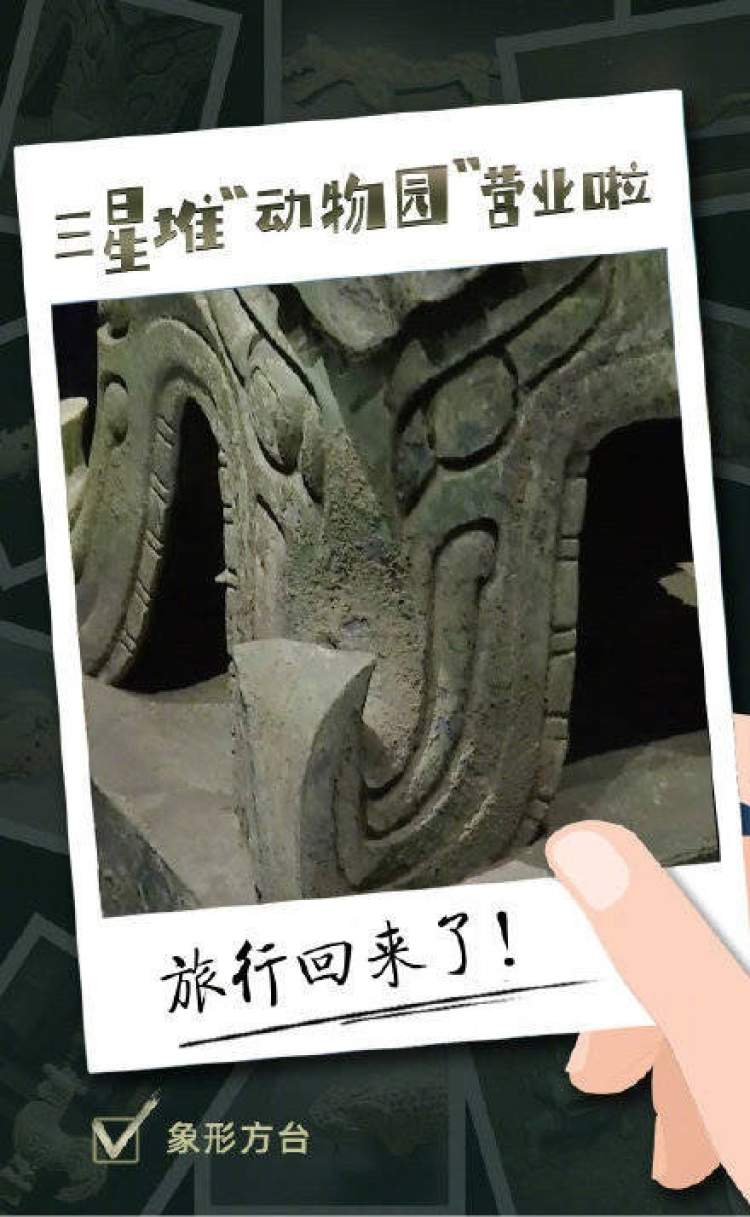 三星堆新出土一个陶猪,马上有网友认为那是游戏《愤怒的小鸟》里猪头