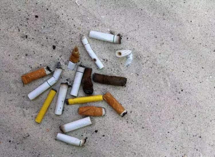 世界地球日|你随手丢掉的烟头,口香糖,小麦粕等等,被脑洞很大的设计师