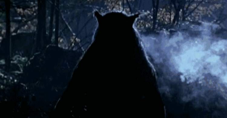 一场毛骨悚然的5d狼人杀