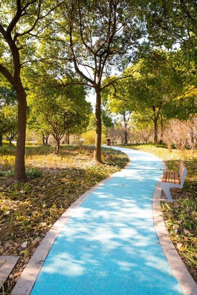 上海第一条荧光绿道落户闵行不过莘莘去看了却有点失望