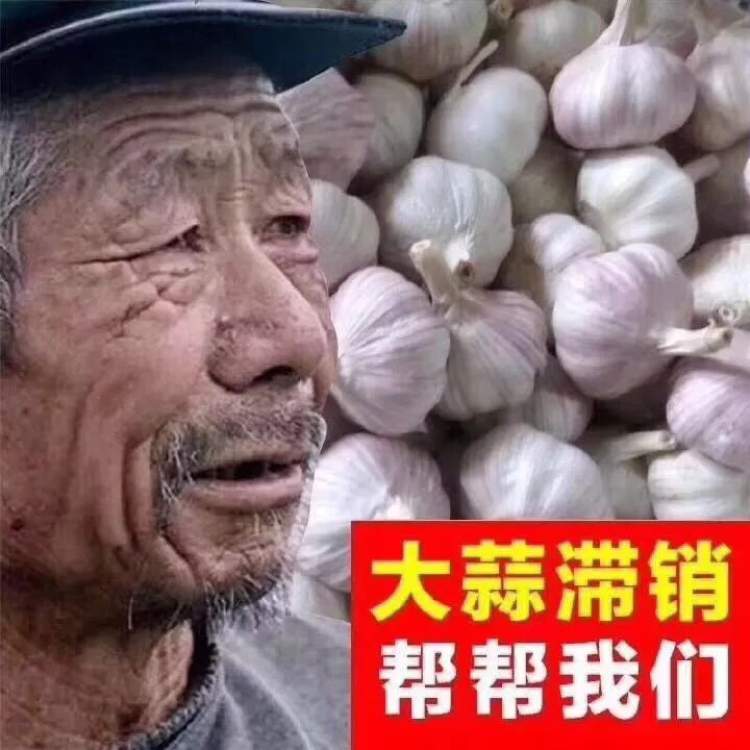 种啥啥滞销?你也入过这"大爷"的坑吧!