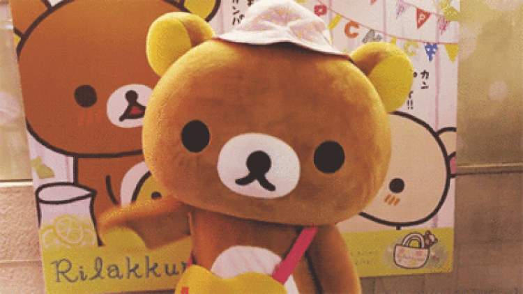 400_225gif 动态图 动图