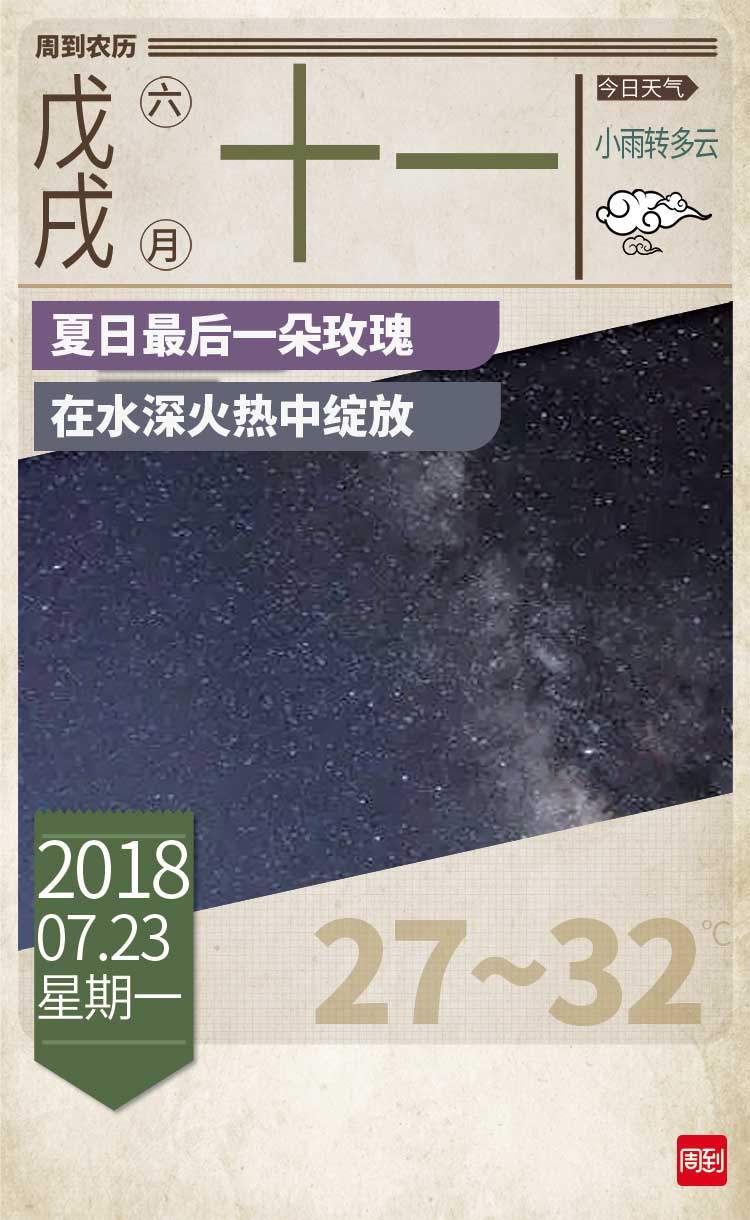 夏日最后一朵玫瑰 在水深火热中绽放