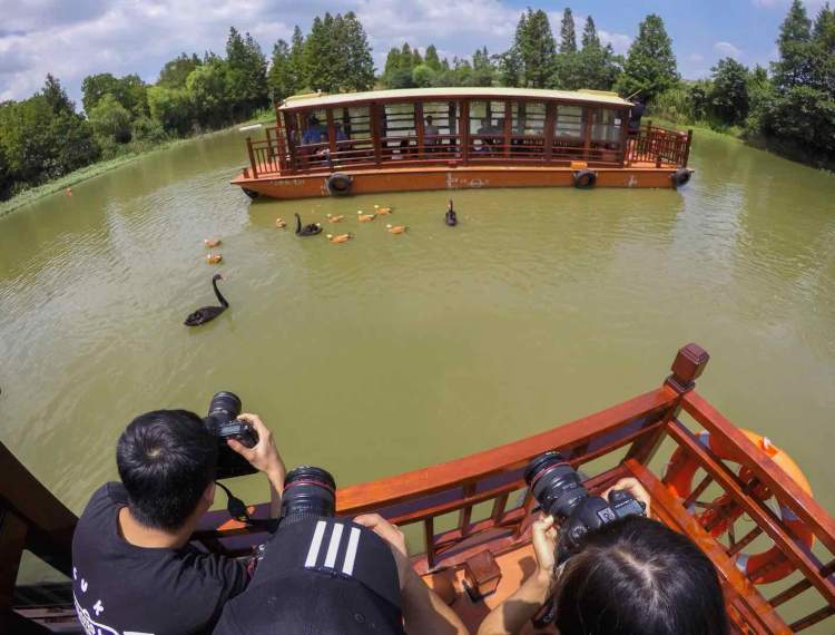 野生动物园"水域探秘"启航,带你坐船看动物