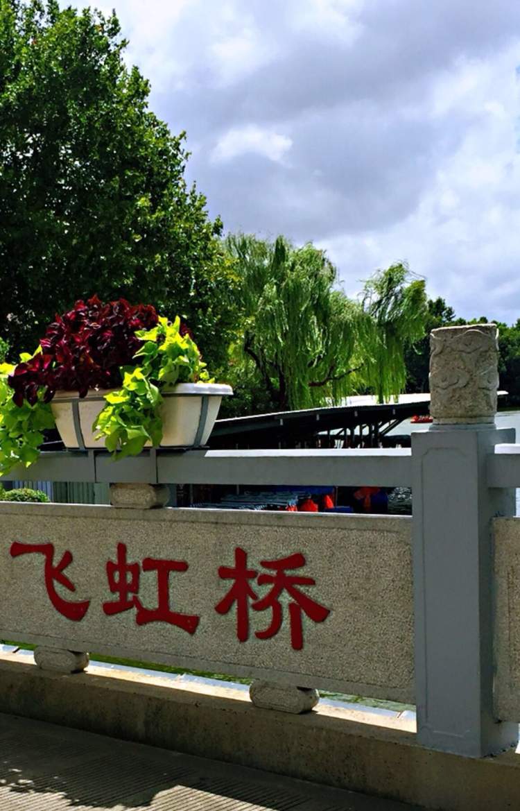 这个七夕 去长风公园的桥上走一走吧 周到上海