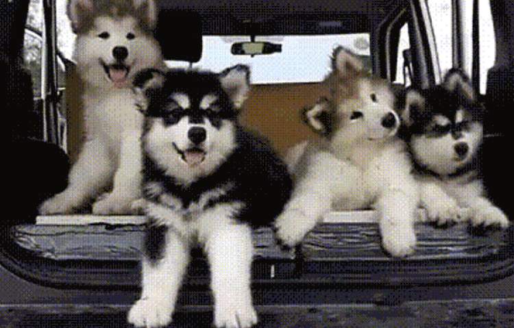 买,看,拿,玩一个都不能少