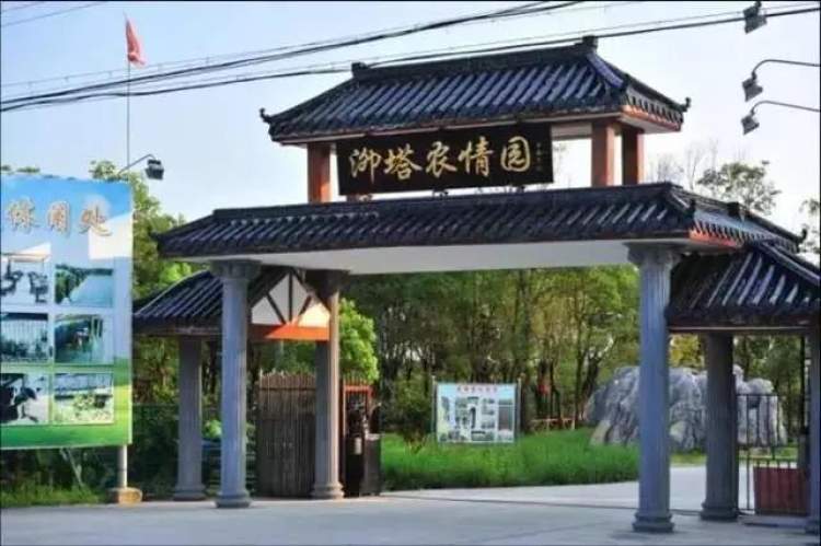 泖塔农情园