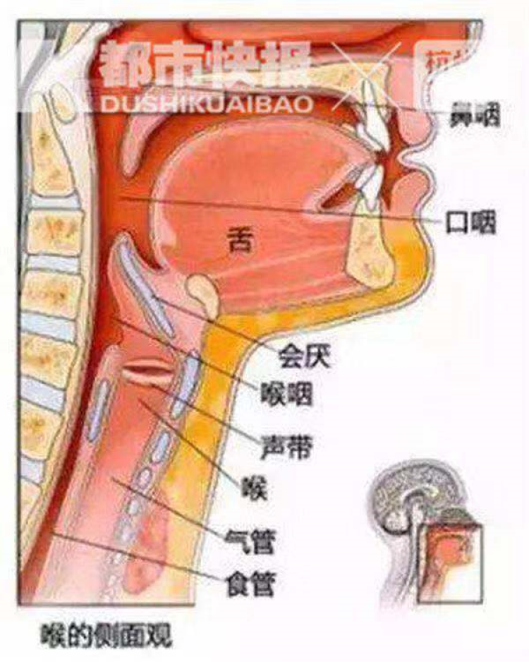 33岁程序员嗓子痛手机求救!上海五官科医院一两天就有人急诊