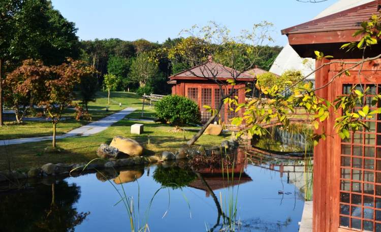 上海正式入冬了,雪夜里不如来这家温泉森林度假村泡个暖汤吧丨"足不出