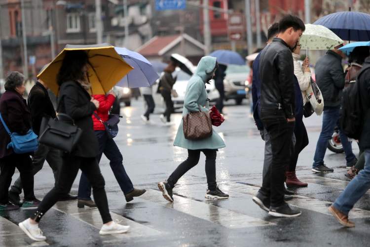 雨点从天空中倾泻而下,密集的雨点砸在匆忙赶路人的脸上,伞上.