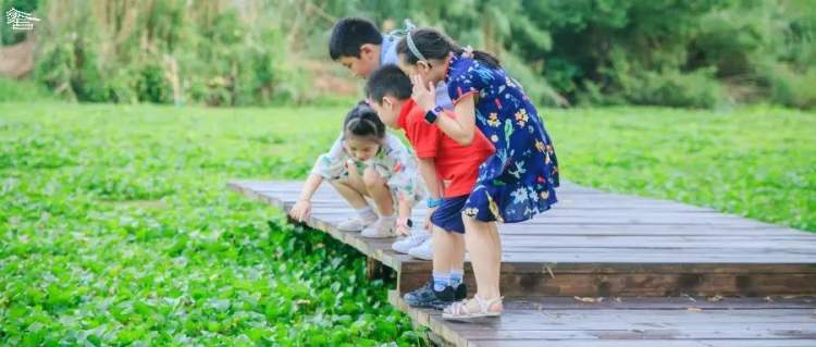 小长假去哪儿 带娃来这些乡野中民宿 住进治愈系好风景里 周到上海