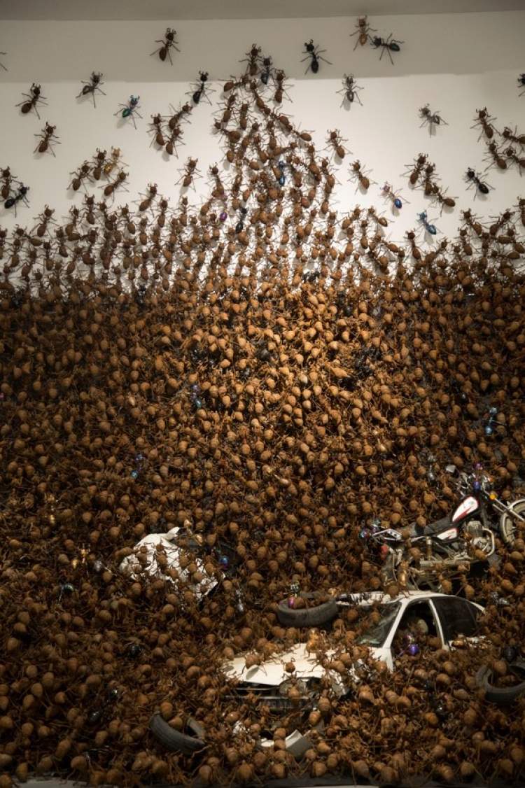 12米高蚂蚁雕塑空降上海宝龙美术馆