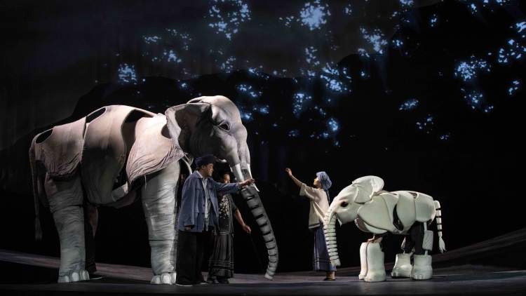 其中象鼻是剧中大象情感传递最出彩的部分,它或卷,或舒,或摇,或摆,其