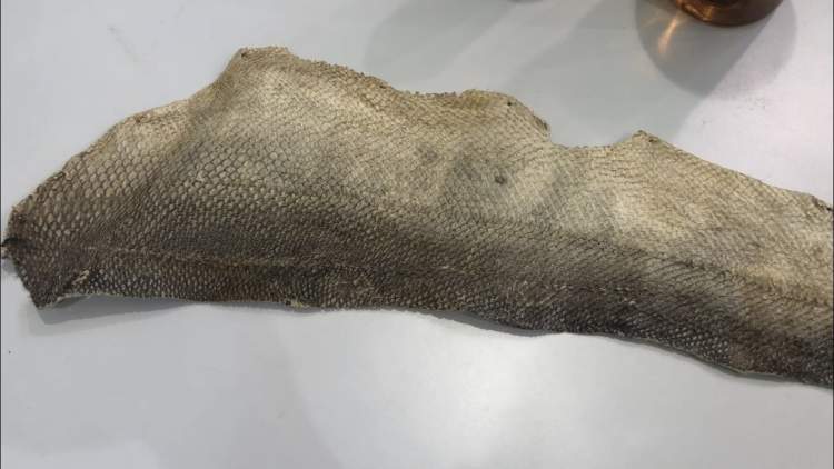 赫哲族鱼皮制作技艺