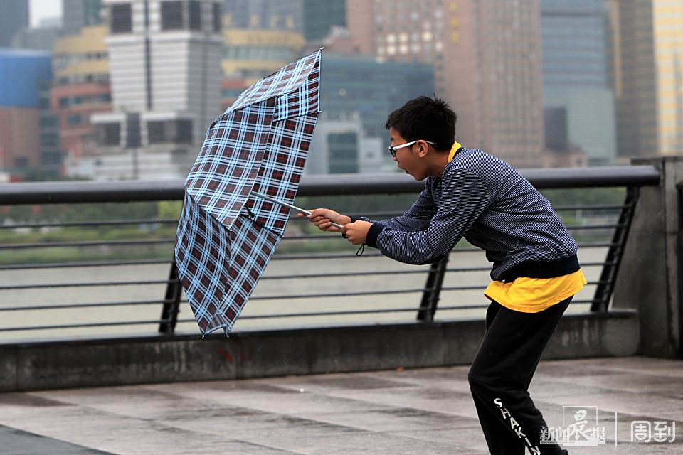在外滩游玩的游客连伞都撑不起来,不少雨伞被大风吹成喇叭花