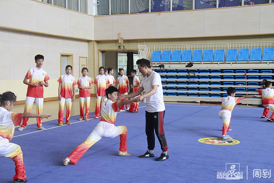 十步拳背面图片