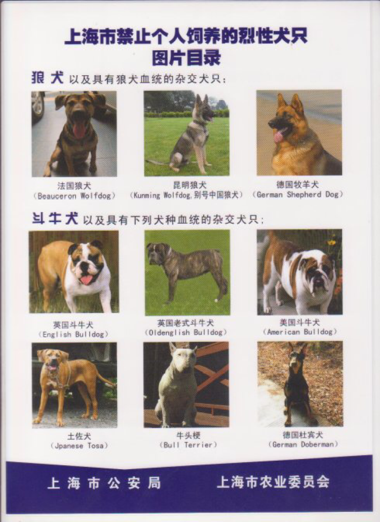 中国烈性犬名单图片