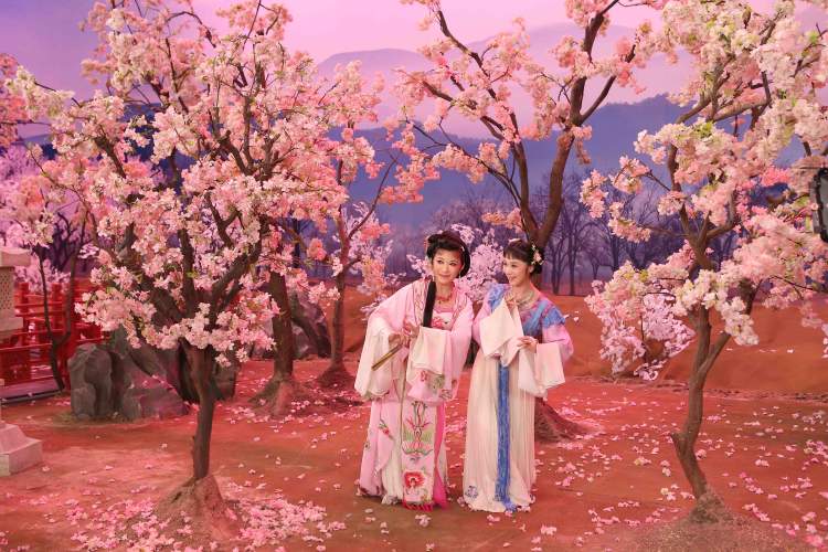 《双飞翼》今晨首映,《红楼梦》《梁祝》《西厢记》……越剧影展来了