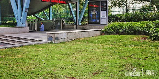 9号线马当路站臭味弥漫?别慌!是绿化部门给1号口绿化施肥