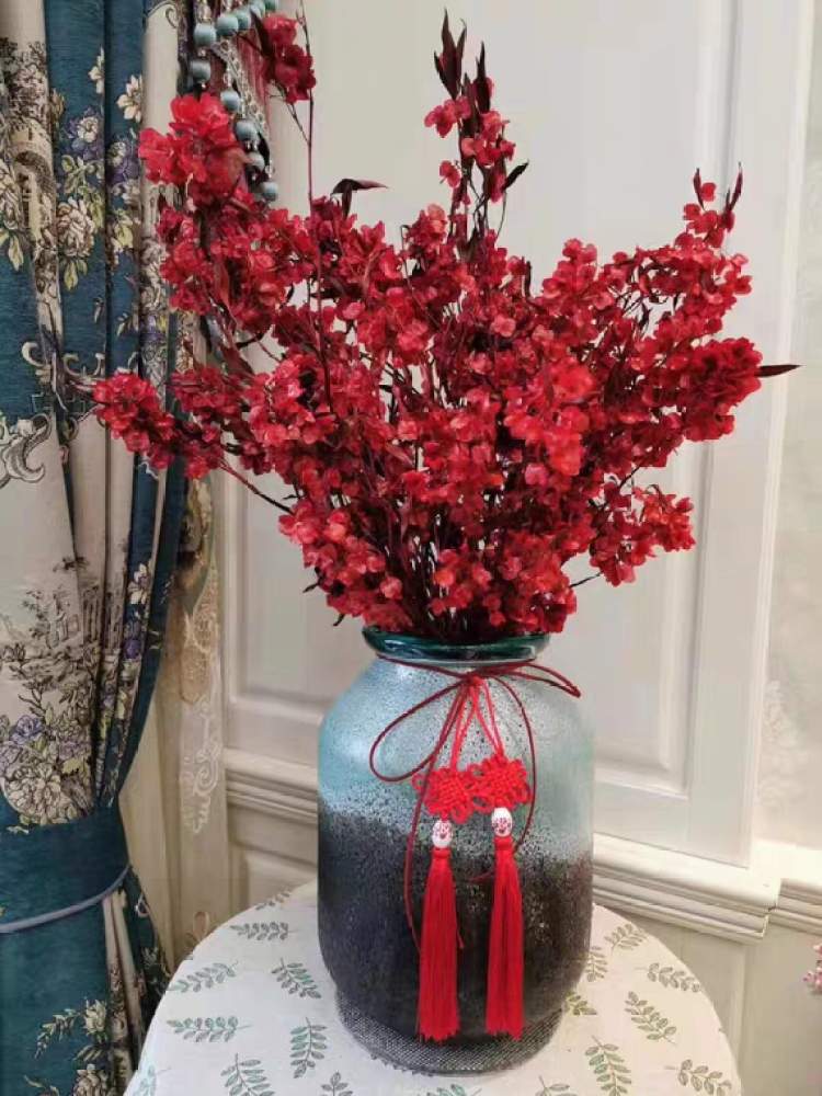 2020,年宵花又上新!附赠专家的搭配与养护建议