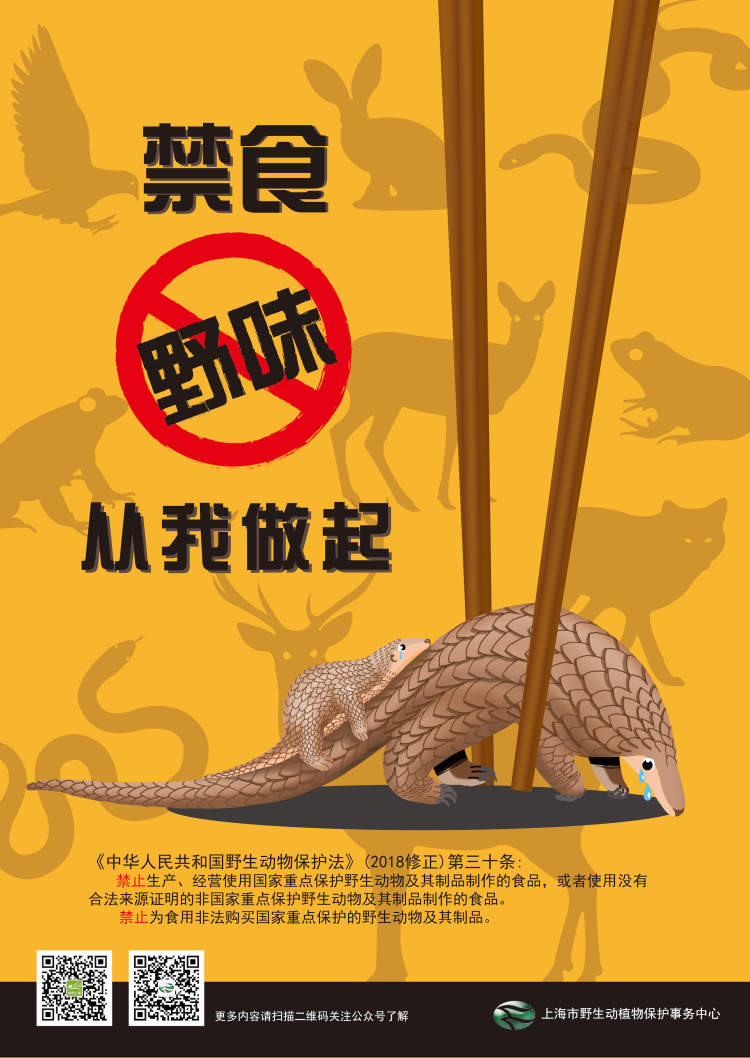 闵行一居民家中发现蝙蝠活动痕迹但未见活体,野保部门:居民发现野生