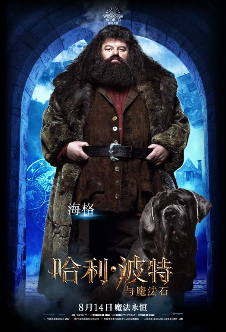《哈利·波特与魔法石》曝最新八大角色海报,重燃20年魔法热情