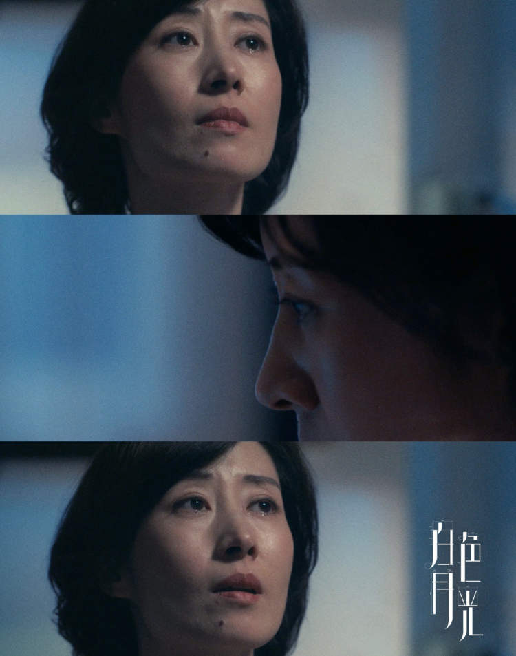 《白色月光》中的杨雁,刘敏涛 饰