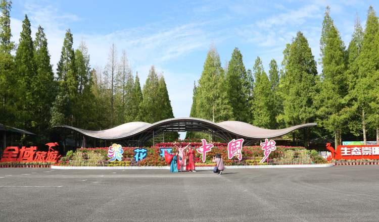 国庆去崇明东平森林公园看立体绿雕,还有30个美丽庭院