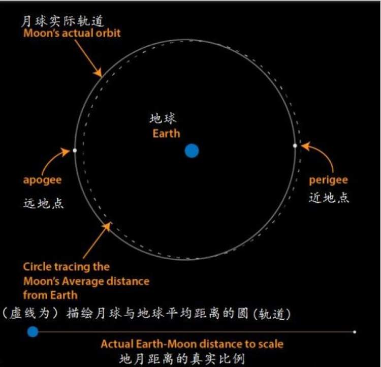 月球的运动方式图片