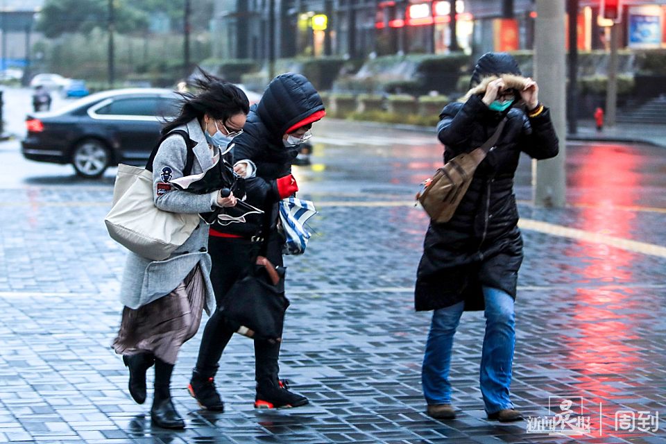 午后寒潮来袭,申城大风呼啸 | 晨镜头