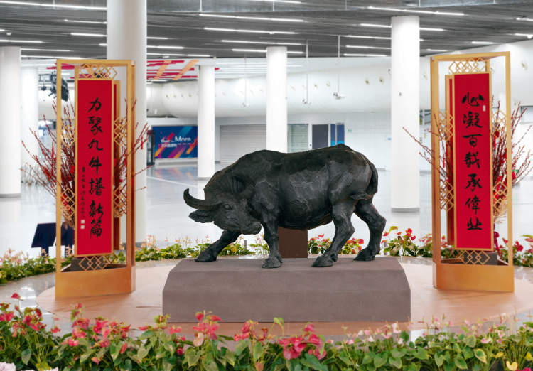 地铁人民广场中央展台推出"金牛迎春"铜牛雕塑,牛劲十足,牛气冲天!