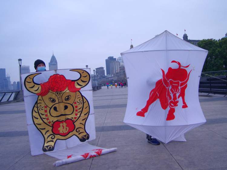 新年牛气冲天!风筝爱好者放飞"金牛"风筝 | 晨镜头