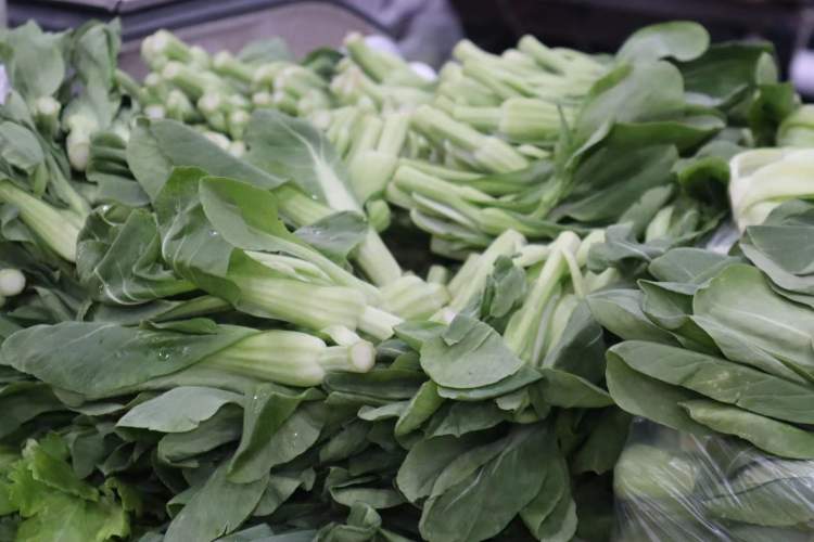 本地菜尖春日"特供":2月底3月初最好吃