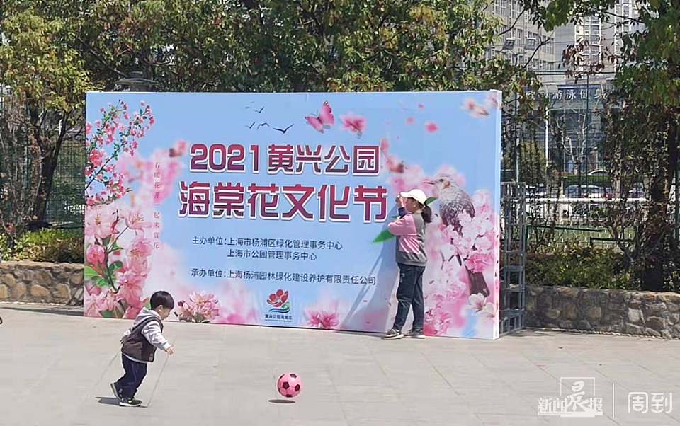 为期一周的黄兴公园海棠文化节开幕,6000平米海棠林等你打卡