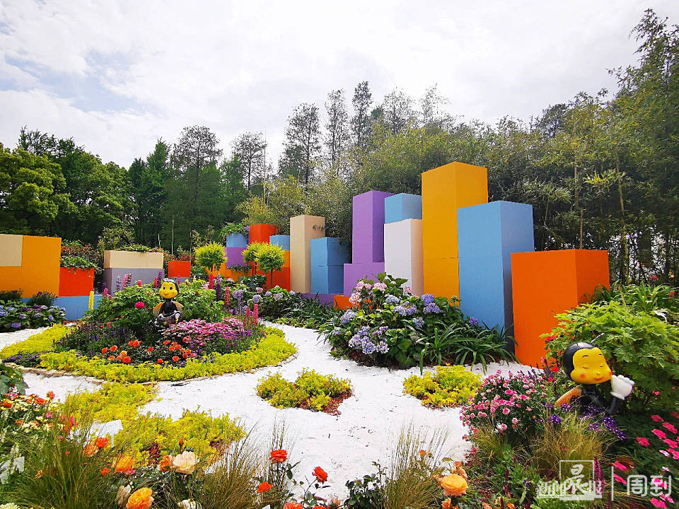 未来园艺师打造 魔法花园 上应大学生的课程作业美翻了 周到