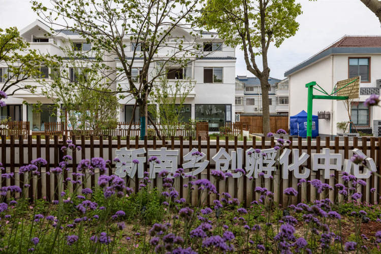 徐超是土生土长的新南村人.