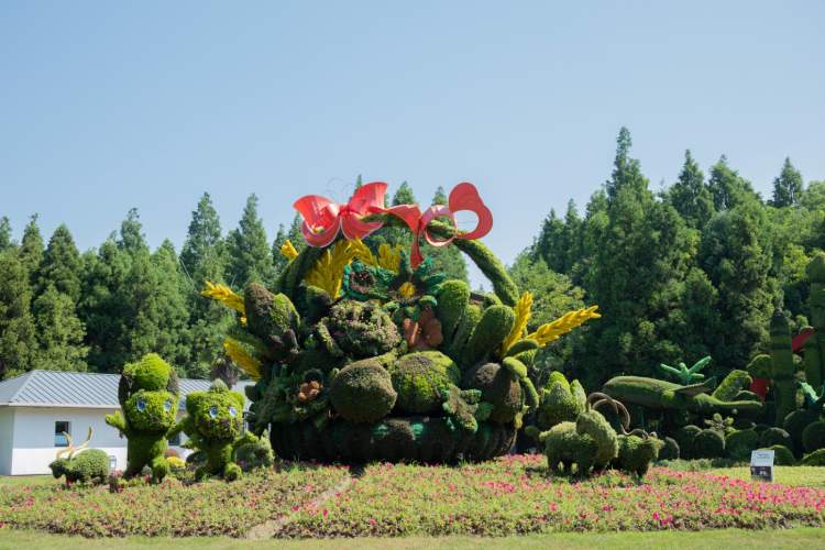 花博南园:继续维持花博会期间的靓丽容颜